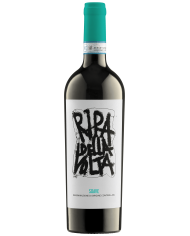 Soave 2024 Ripa Della Volta