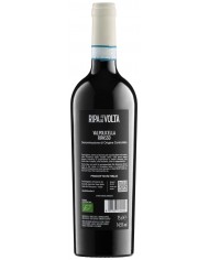 Valpolicella Ripasso DOC 2021 Ripa Della Volta