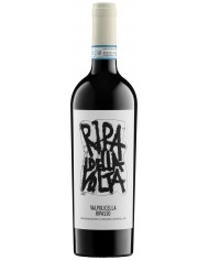Soave 2024 Ripa Della Volta
