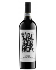 Valpolicella Superiore DOC 2023 Ripa della Volta