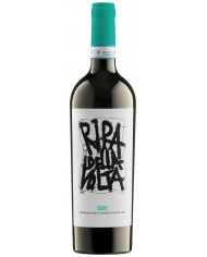 Soave 2024 Ripa Della Volta