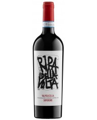 Valpolicella Superiore DOC 2023 Ripa della Volta