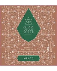 Mint Extract Syrup - 500ml